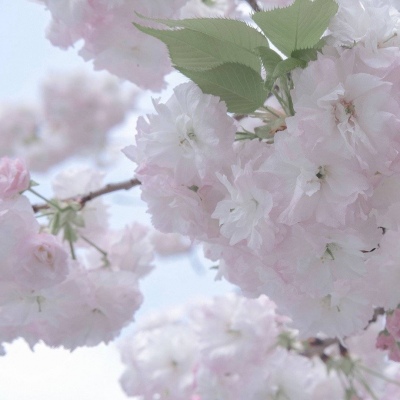 兽设写实风格绘画兽圈社群