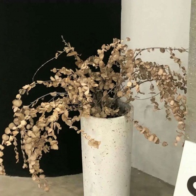 Furry绘画构图指南兽圈社群